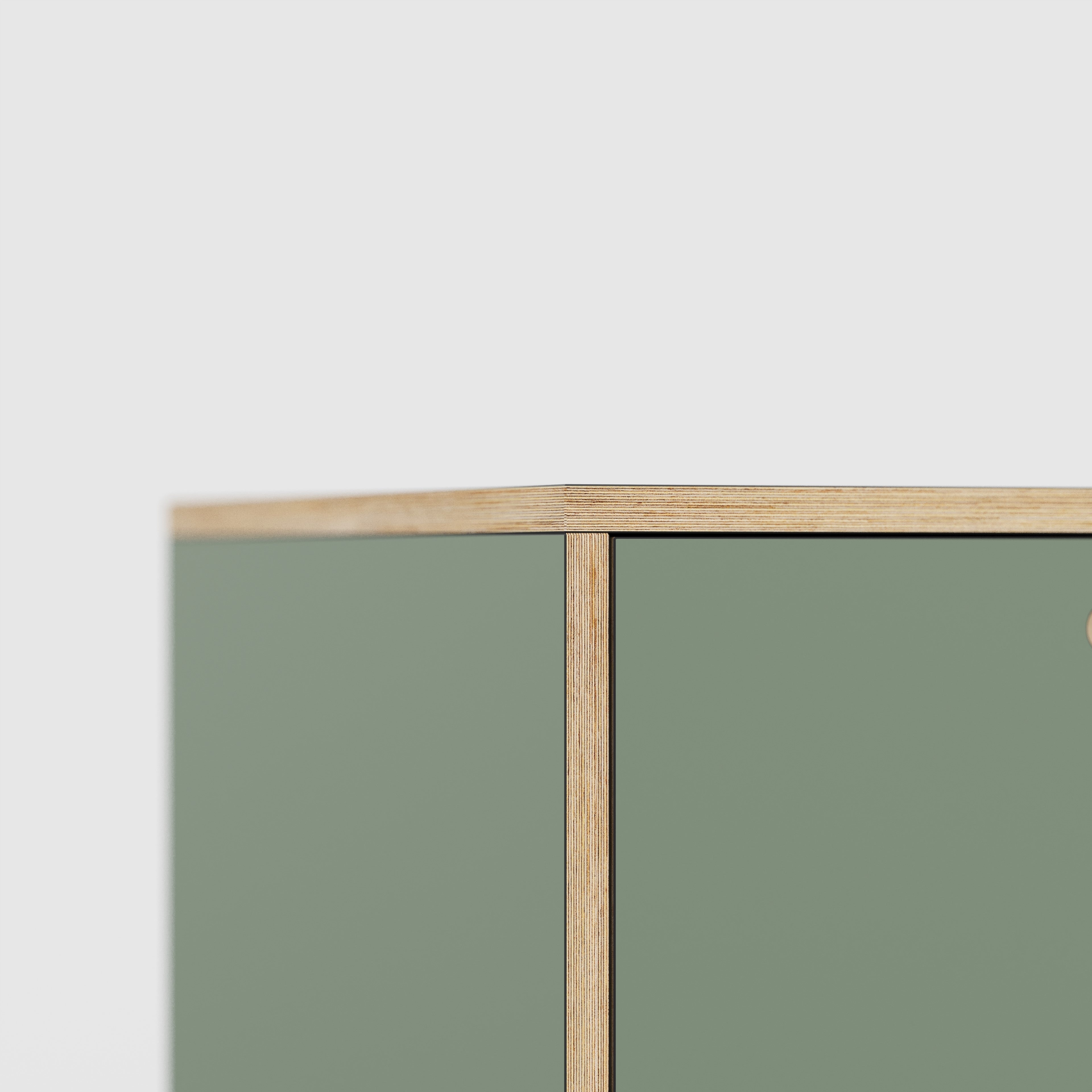 Plywood Desk with Storage Type 1 LH - Door - Formica Green Slate - 1600(w) x 800(d) x 750(h)