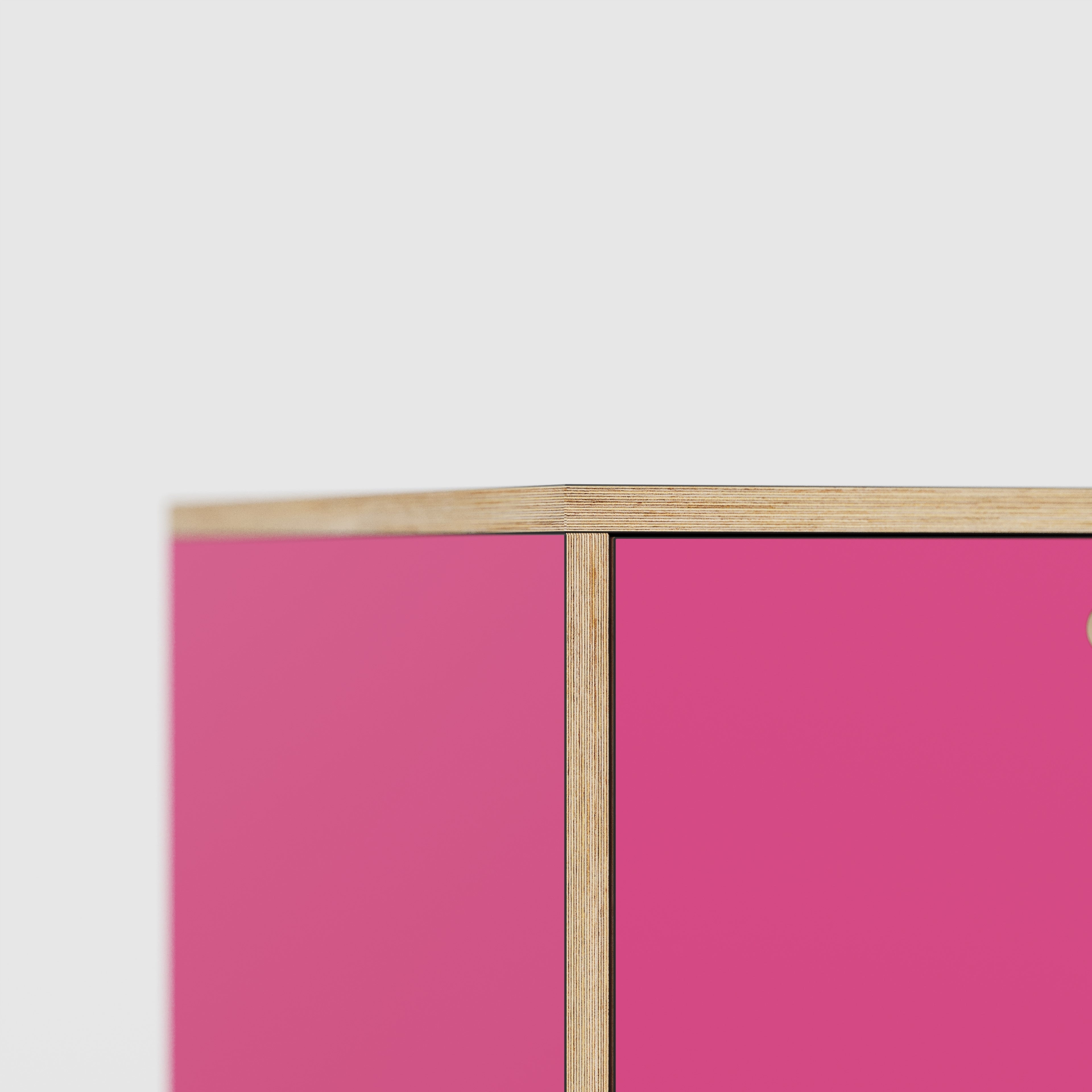 Plywood Desk with Storage Type 1 LH - Door - Formica Juicy Pink - 1600(w) x 800(d) x 750(h)