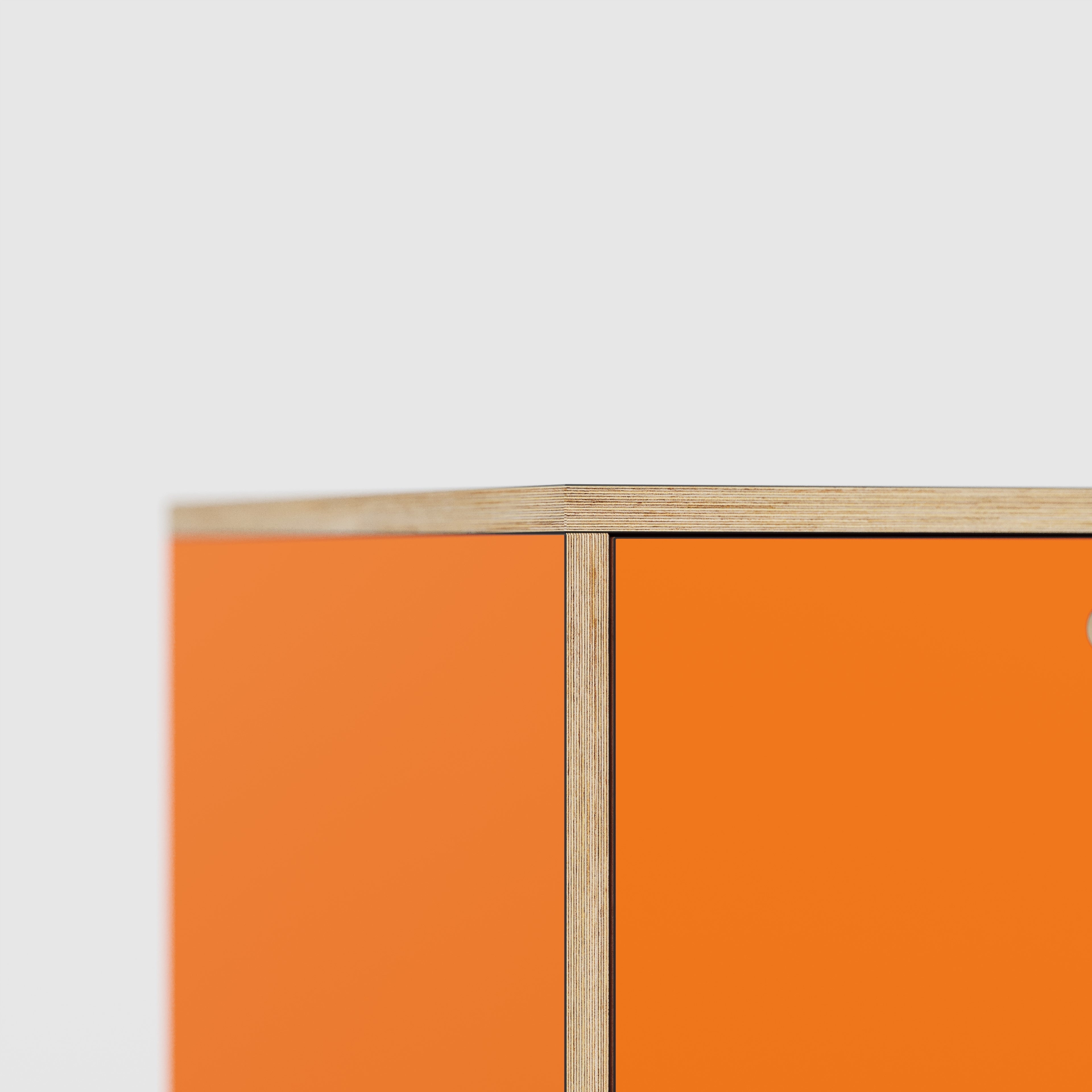 Plywood Desk with Storage Type 1 LH - Door - Formica Levante Orange - 1600(w) x 800(d) x 750(h)