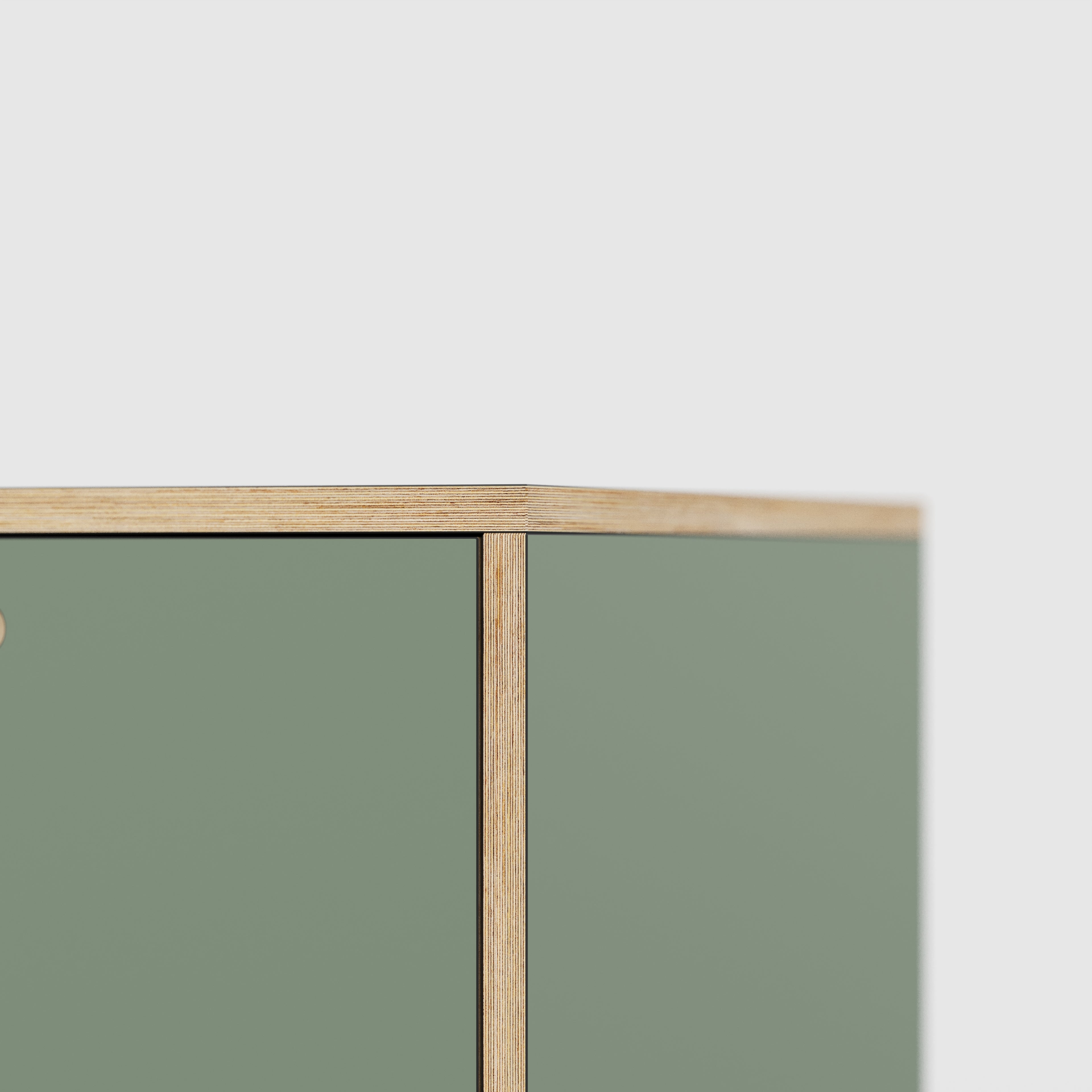 Plywood Desk with Storage Type 1 RH - Door - Formica Green Slate - 2000(w) x 800(d) x 750(h)