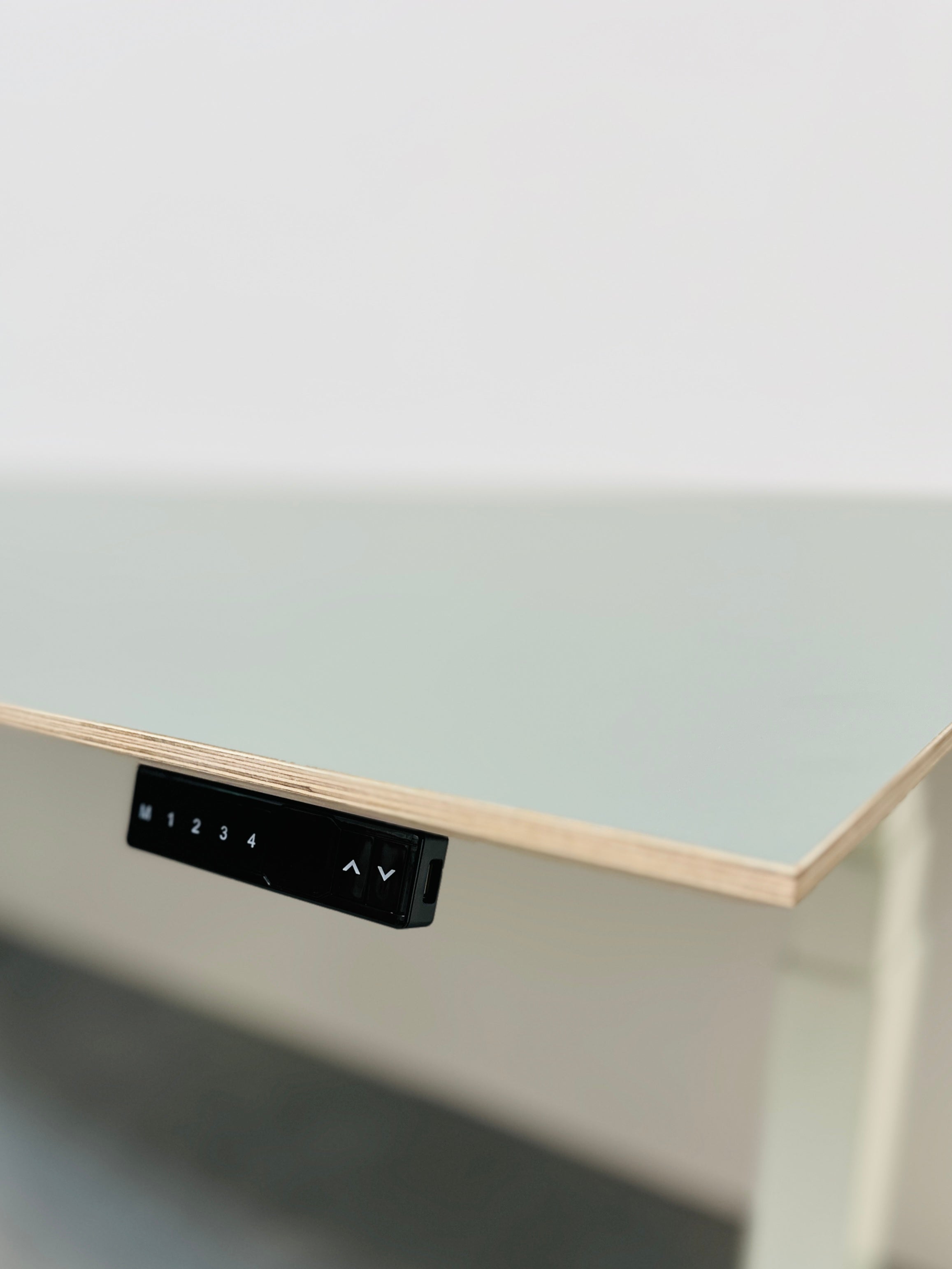 custom-plywood-sit-stand-desk-forbo-pistachio-close-up