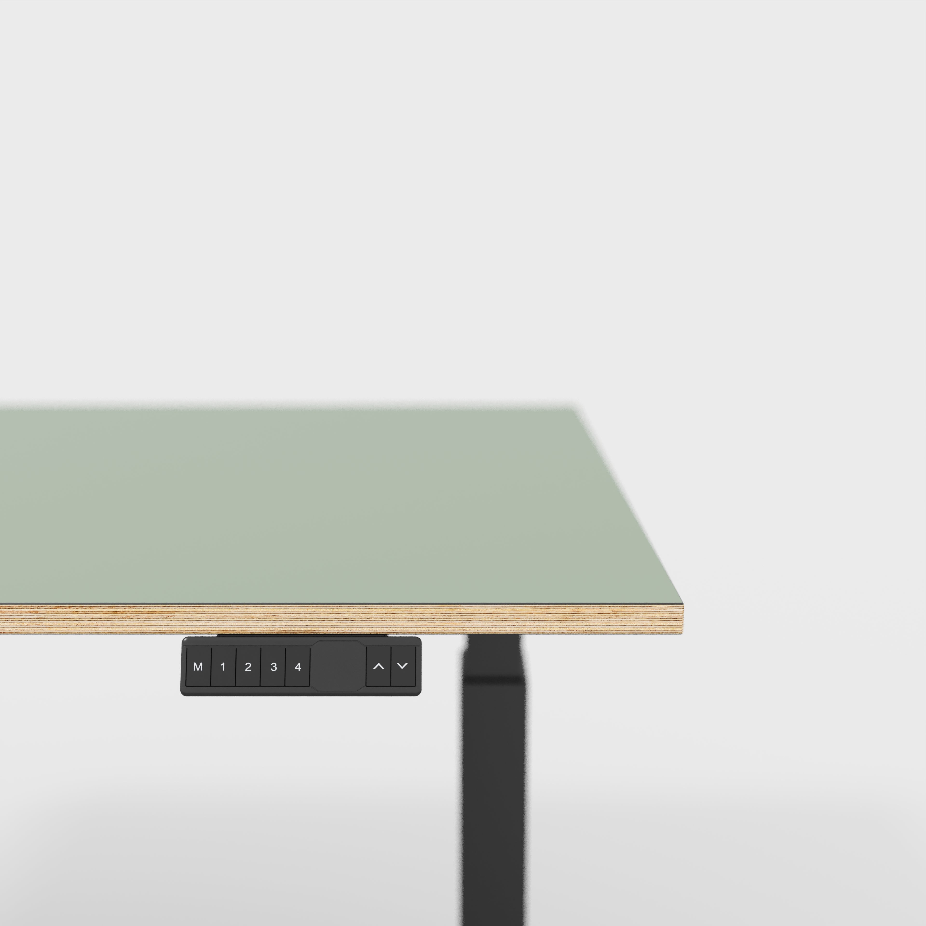 Plywood Sit Stand Desk with Black Frame - Formica Green Slate - 1600(w) x 800(d)